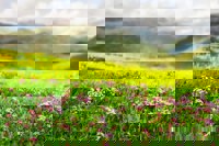 Ihr Weg mit ASW-Österreich: Ablauf und Rahmenbedingungen