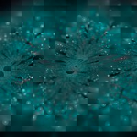 Innere Heilung als gesellschaftlicher Beitrag