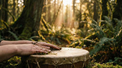 Kraft und Balance durch schamanische Reisen