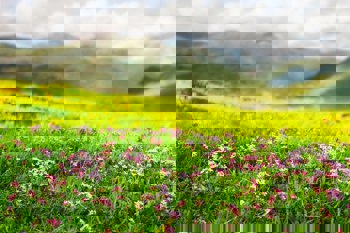 Ihr Weg mit ASW-Österreich: Ablauf und Rahmenbedingungen