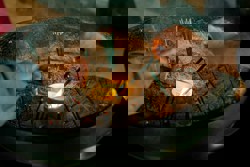 Workshop Basisseminar