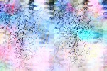 Hoffnungslosigkeit als Initiation: Vom Zusammenbruch zur inneren Ganzheit