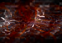 ASW-Österreich Workshops - So finden Sie den richtigen Kurs