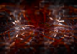 Workshops für Neuroschamanismus