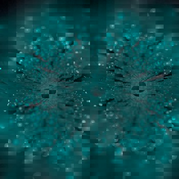 Innere Heilung als gesellschaftlicher Beitrag