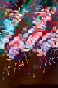 Spirituelle Begleitung in Zeiten des Übergangs und der Veränderung