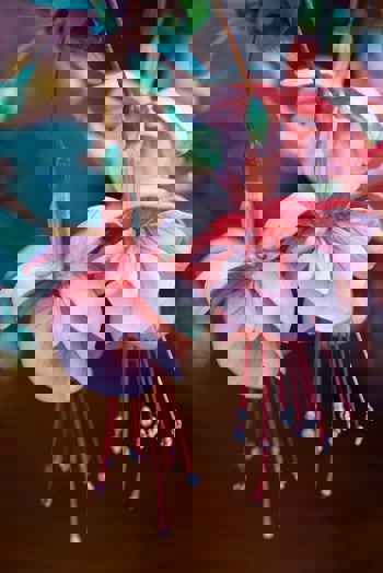 Spirituelle Begleitung in Zeiten des Übergangs und der Veränderung