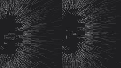 Schamanische Krisenintervention