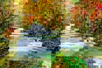 Was ist Neuroschamanismus?