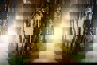 Unsere Gesellschaft steht an einer Schwelle