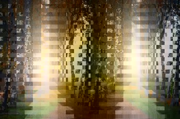 Unsere Gesellschaft steht an einer Schwelle